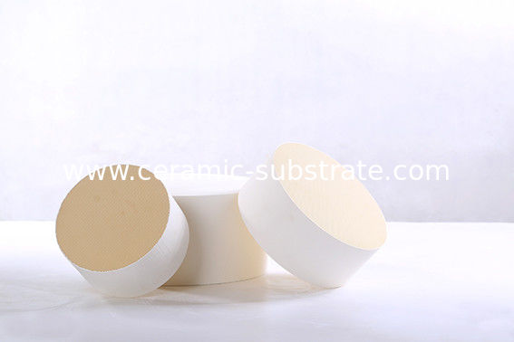 Putih Honeycomb keramik Filter kustom untuk mendukung katalis